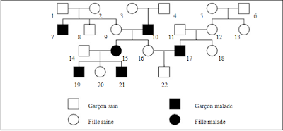 génétique humain exercice 5