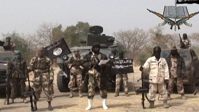 Boko Haram kills 31 fishermen in Lake Chad Basin – Shettima