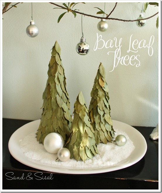 Bay Leaf Trees 