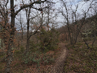 Sendero a Peñalver