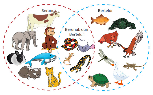 Materi Ajar Kelas  6 Tema 1 Subtema 2 Pembelajaran 1