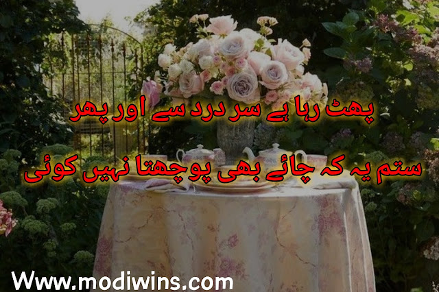 tea poetry, tea poetry in urdu, tea lover poetry, tea poetry in english, tea poetry in hindi, funny poetry on tea in urdu, tea poetry in urdu sms, tea poetry status, chai tea poetry, rain and tea poetry, deep tea poetry in urdu, best tea poetry in urdu, sad poetry on tea, tea pics with poetry, awesome poetry on tea, barish poetry with tea, funny poetry for friends in urdu tea, good morning tea pics poetry, i hate tea poetry, jaun elia poetry on tea, november tea pics with poetry, poetries on tea, poetry about green tea, poetry on cup of tea, poetry on tea and sugar, punjabi poetry on tea, romantic poetry about tea, sad love poetry for boys night tea, school tea party best poetry in pashto, sweeat tea urdu poetry, tea cup funny poetry, poetry on tea 2018,