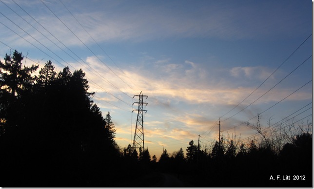 Springwater Trail.  Portland, Oregon.  February 6, 2012.