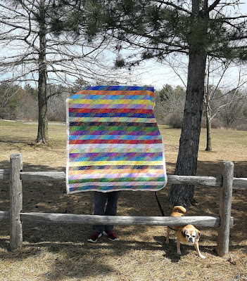 quilt and dog