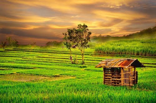 PUISI SUNDA PANGBALIKAN  BOBODORAN SUNDA EUUYYYY