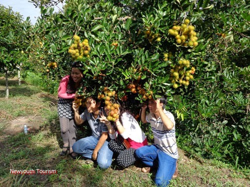 Vietnam - paradise of tropical fruits 9