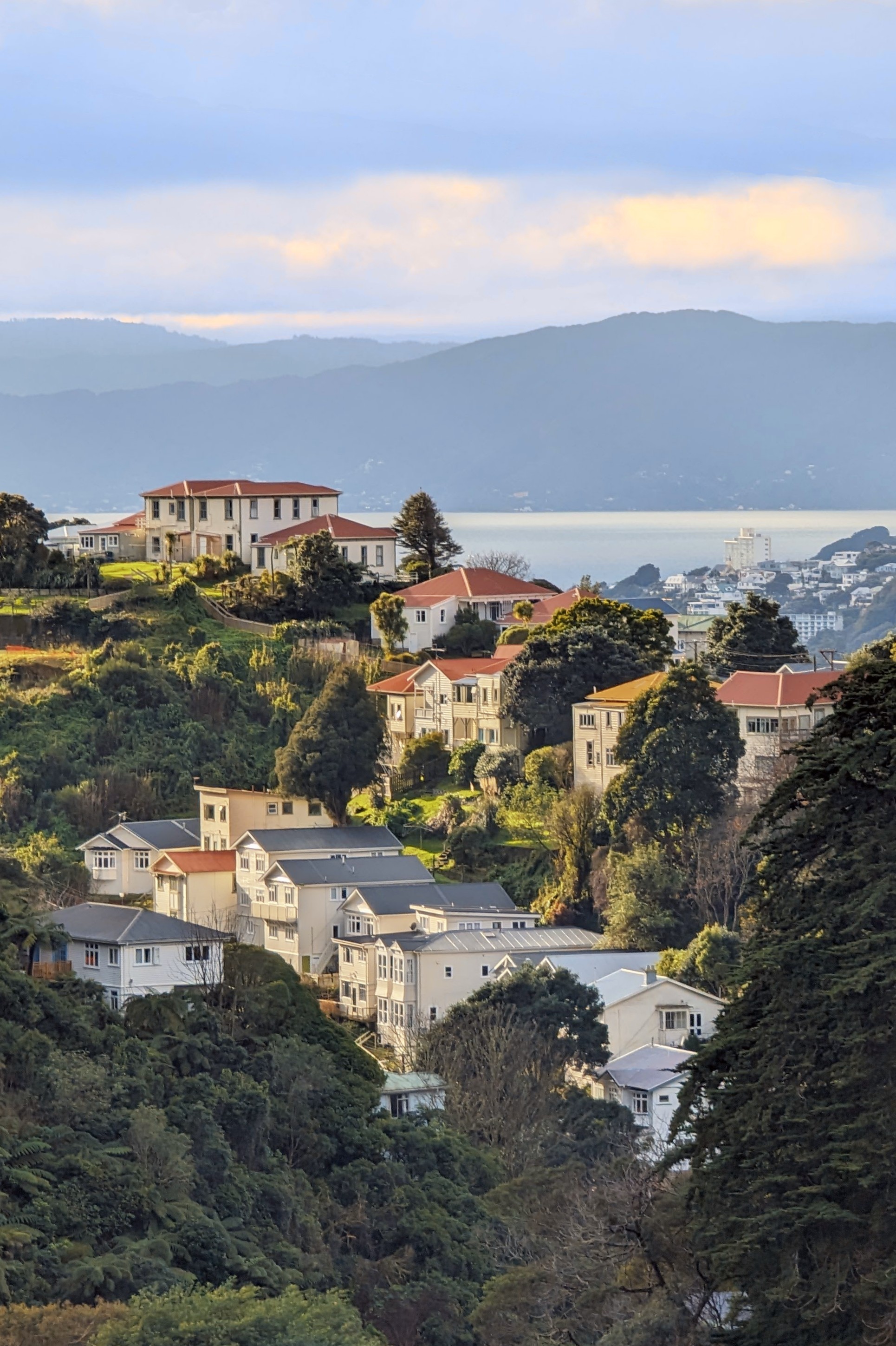 View across a valley to hills with large houses and many trees upon. In the distance you can just see Wellington city, the harbour, and the distant harbour hills. The sky is autumn sun lit cloudy.