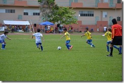 DSC_0541 (800x533)