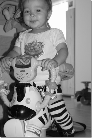 lukaonzebra