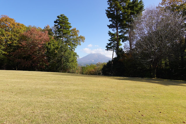 鳥取県西伯郡南部町鶴田 とっとり花回廊 芝生け広場