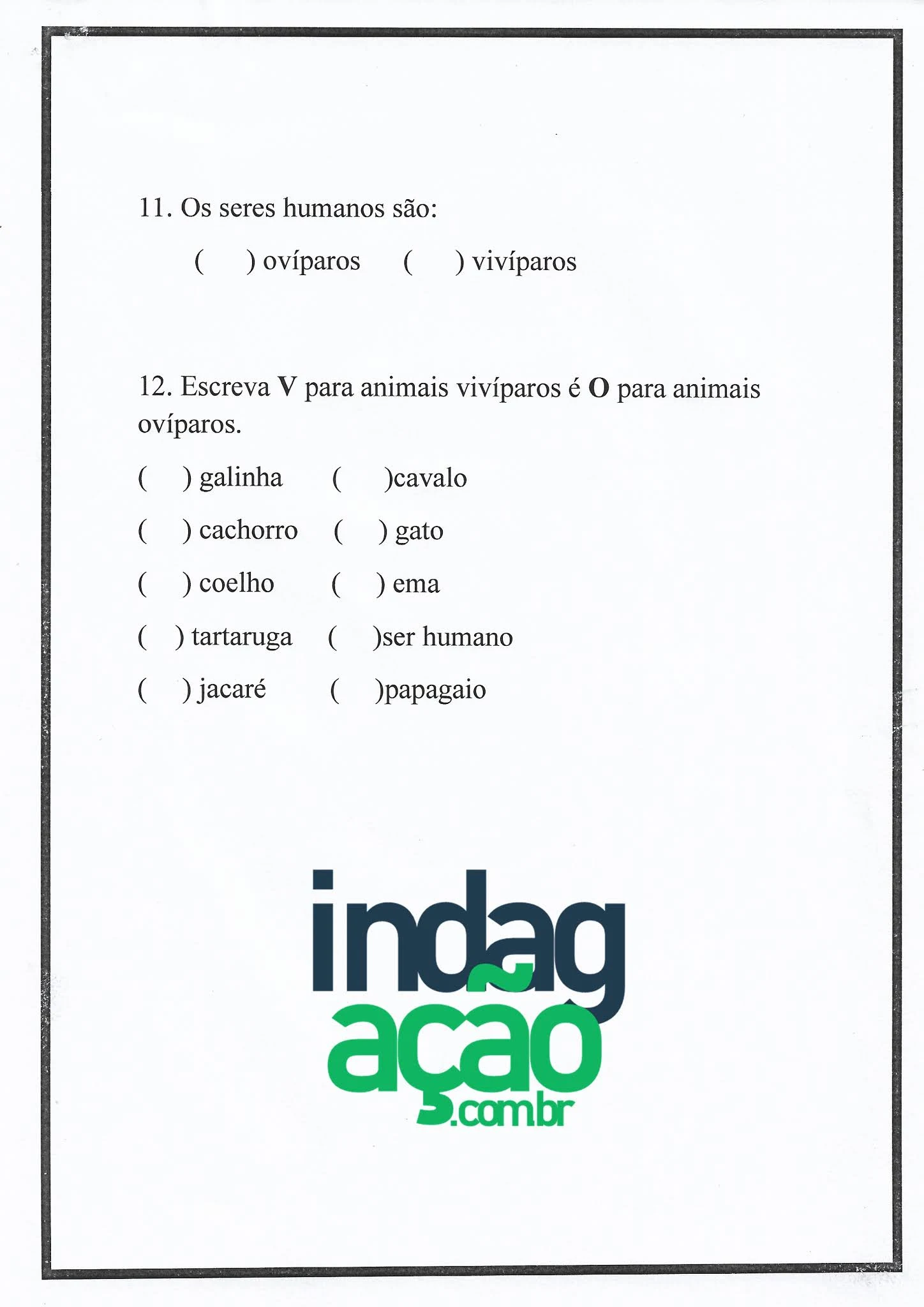 Atividade de Ciências: classificação dos animais