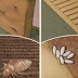 These bed bugs can harm your lungs and back: Learn how to naturally and quickly destroy them!