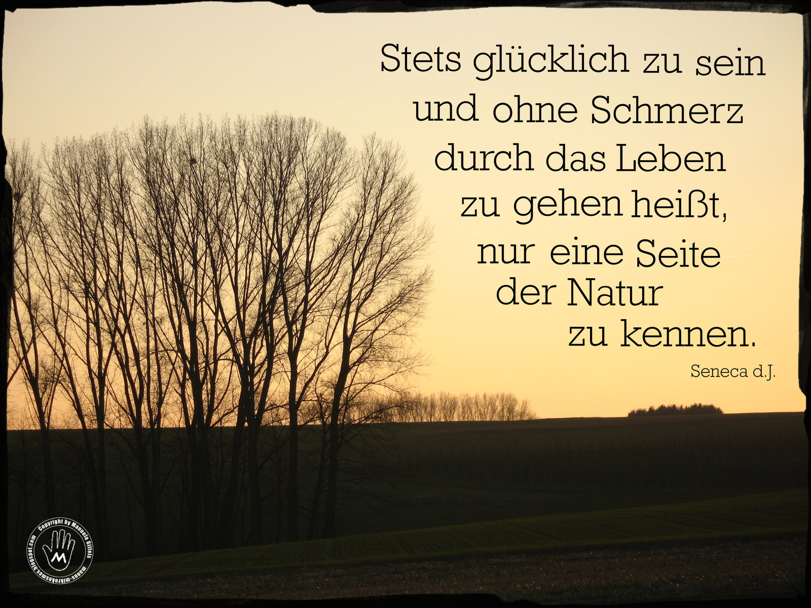 Spruch der Woche 227