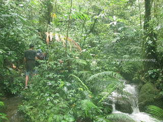 Air Terjun yang berada di Lebak, Banten - Indonesia