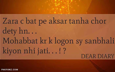 dear diary urdu poetry, love quotes, thoughts and silent words 29
