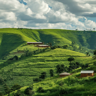 Lush green hills with houses scattered throughout, a typical scene in