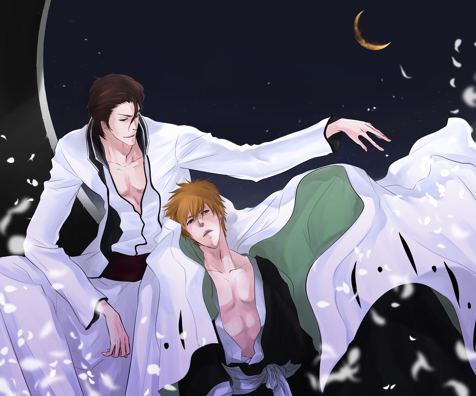 Sosuke Aizen and Kurosaki Ichigo | Your daily Anime Wallpaper and Fan ...