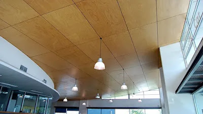 Plywood Ceiling