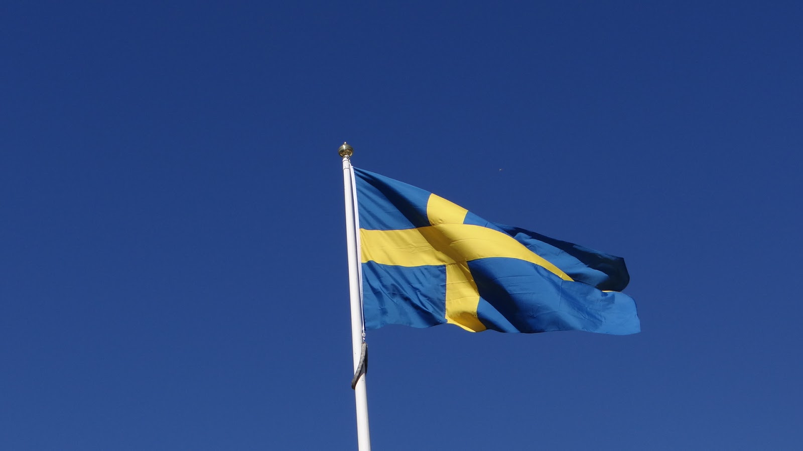 北欧無料写真素材集 Sustainability Cafe スウェーデン国旗