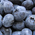 Blueberries Can Make You Look Younger