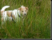 Berry Clough 1