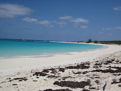 Beach at Compass Cay