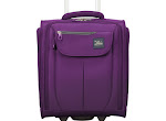 FREE Skyway Luggage or Tote Bag