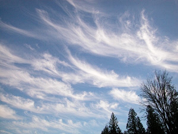 Altostratus Clouds Facts. Skyamazing facts, look like