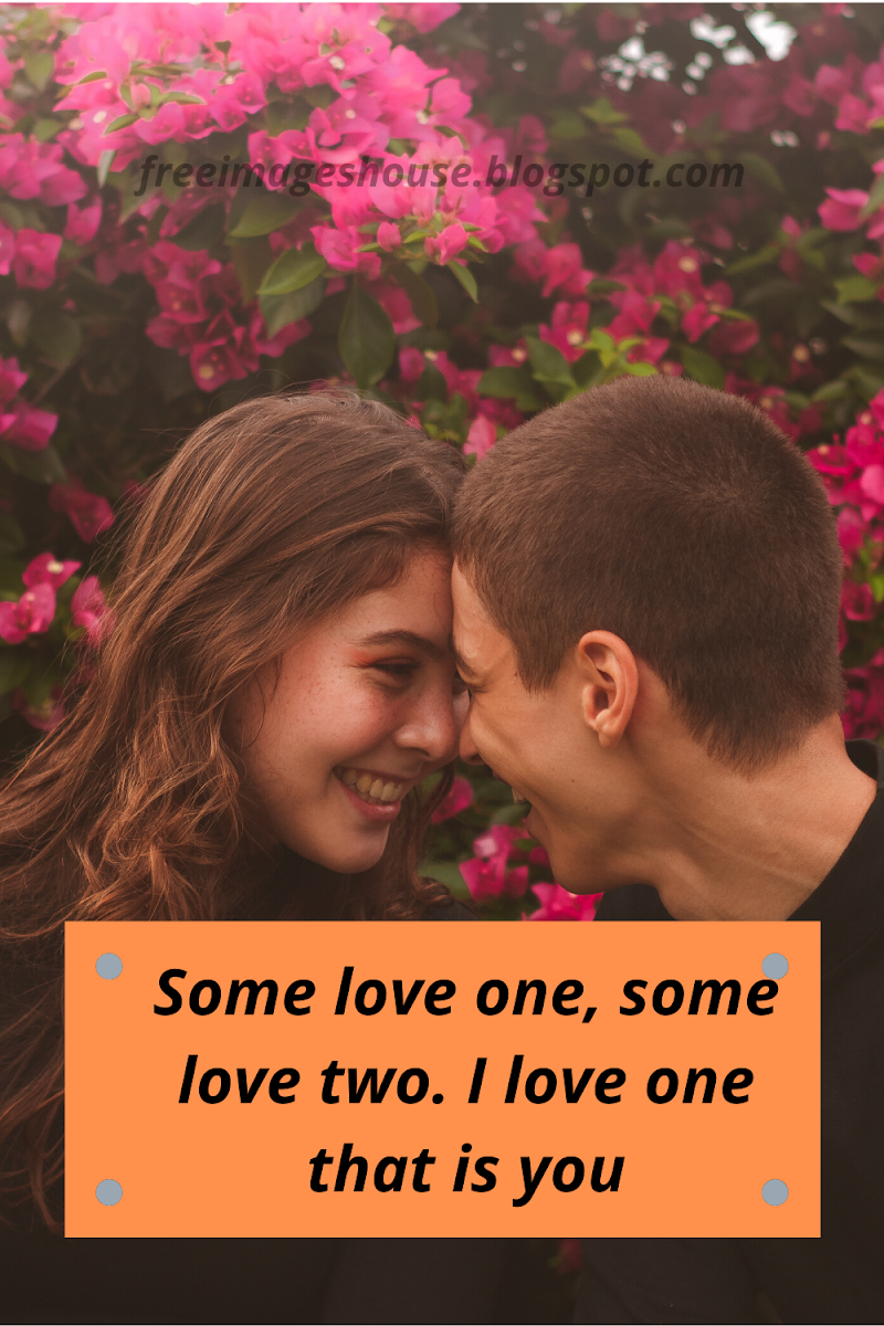 Best Love Quotes Images