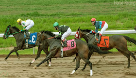 Horse racing sport