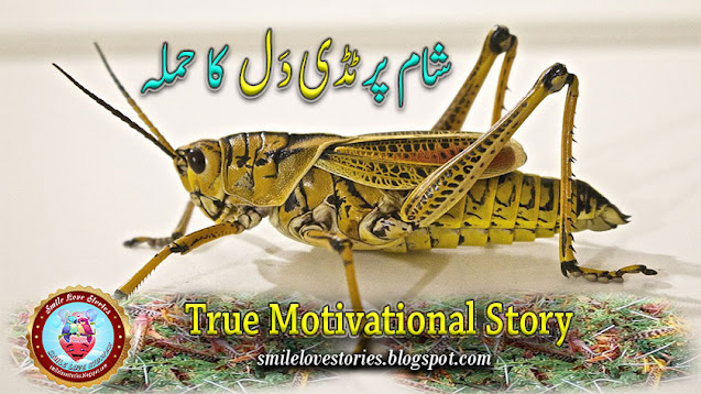 motivational story in hindi, motivational stories, true motivational story, inspirational moral stories, inspirational short stories