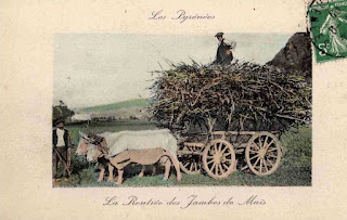pays basque autrefois maïs agriculture