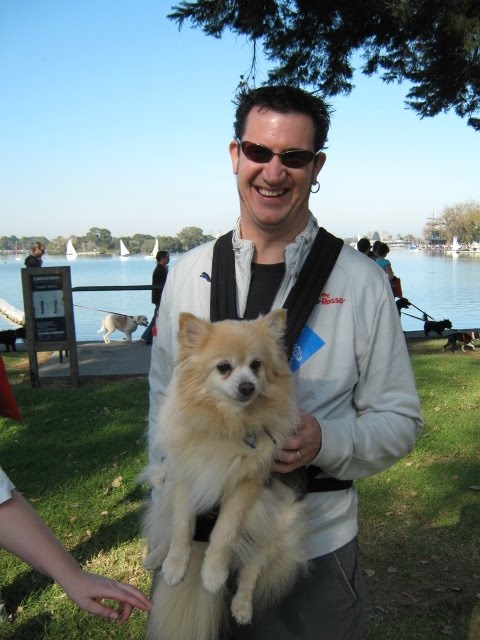 This proud Pomeranian-dad special ordered his custom "Outward Hound" doggie 