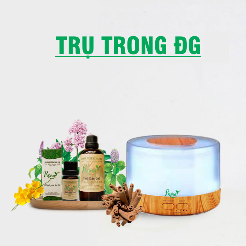 Máy Khuếch Tán Tinh Dầu Trụ Trong DG