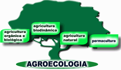 Conceitos de Agroecologia