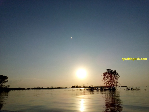 Berburu Sunset di Hutan Mangrove Kaliwlingi Brebes