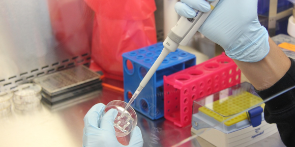Promover la cultura de compartir en la ciencia
