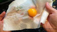 egg yolk