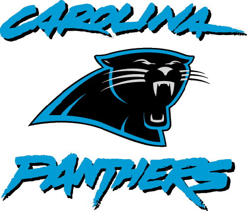  Panther NFL