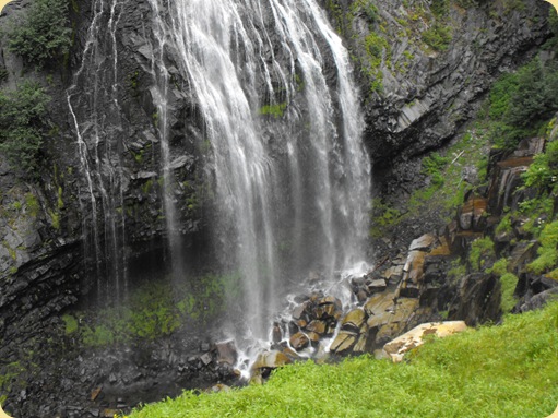 Mt. Rainier National Park 181