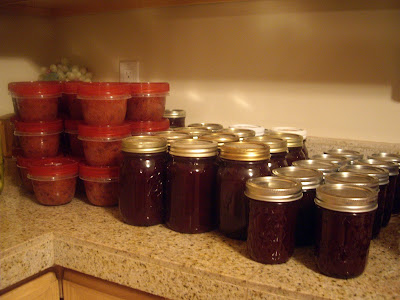 Plum freezer jam recipes