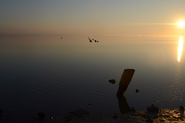 sunlight on the water