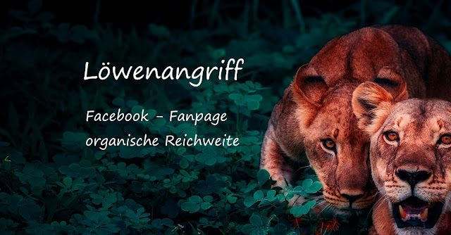 Löwenangriff - Facebook Fanpage deine Reichweite