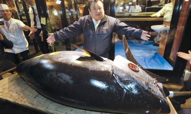 2,78 kg bluefin fish is purchased in 31 million dollars 