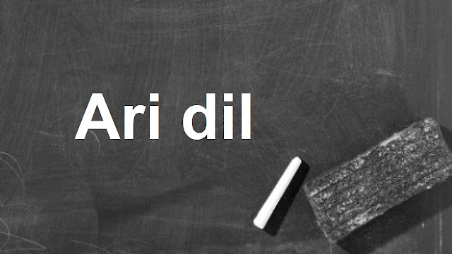 Ari dil