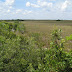 Everglades National Park