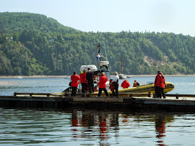 Excursión en Zodiac - Avistamiento de Ballenas en Tadoussac Excursión en Zodiac - Avistamiento de Ballenas en Tadoussac
