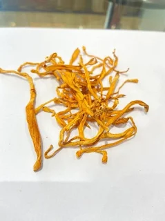 Cordyceps militaris buyers in Tamilnadu