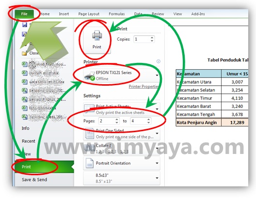  Gambar: Contoh print dan print preview di microsoft excel 2010