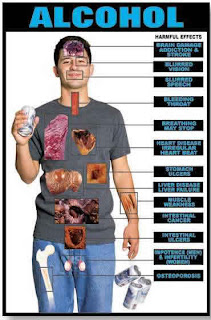 Pengaruh Alkohol Terhadap Organ Tubuh